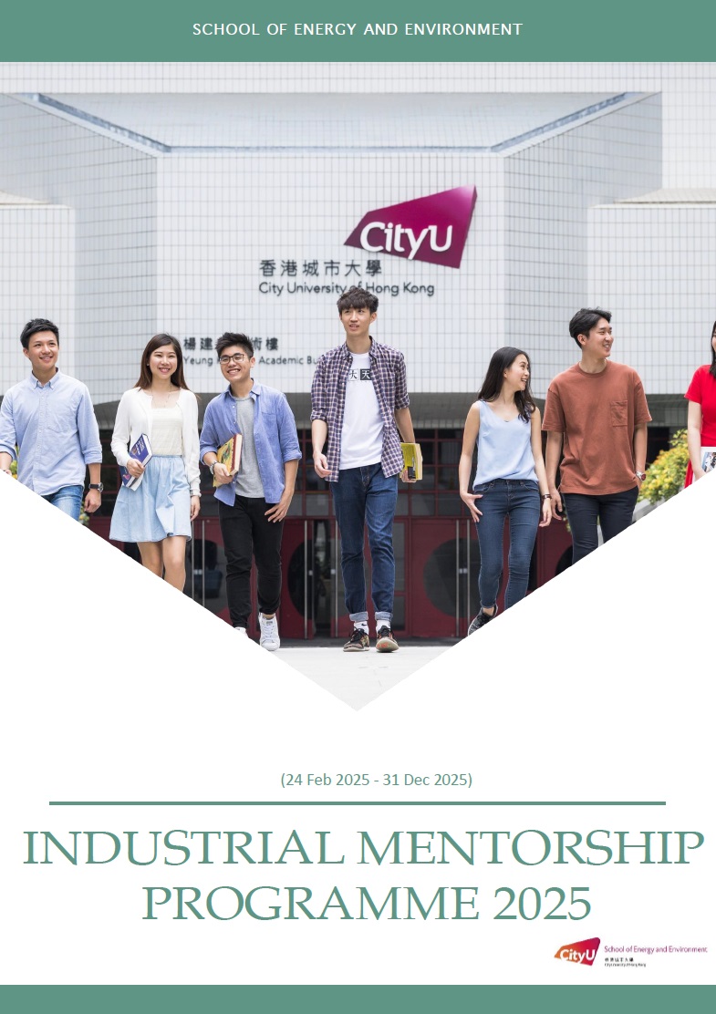 Industrial Mentorship Programme