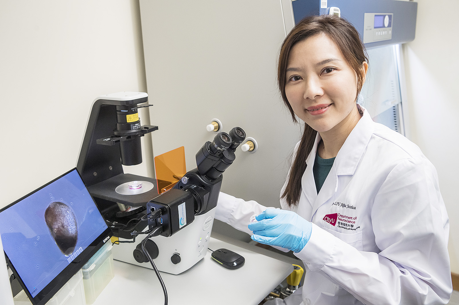 Professor Liu and the team have discovered that modifying specific genes in hNSCs can alter their intrinsic actions, effectively driving nerve regeneration to repair damage and ultimately restoring locomotor functions.