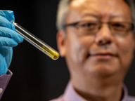 TMD nanomaterials