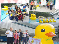 151201_Duck-1.jpg Thumbnail